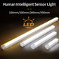 GlowSense Rechargeable Motion Light
